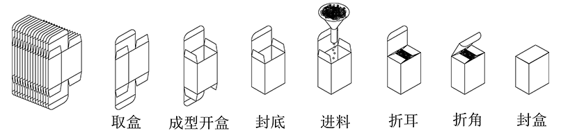 利悅自動(dòng)數數立式裝盒機包裝流程示意圖